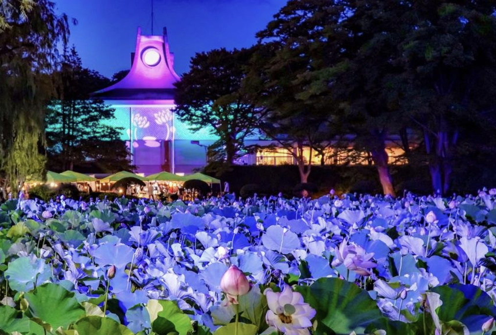 「秋田千秋公園」千秋連祭り