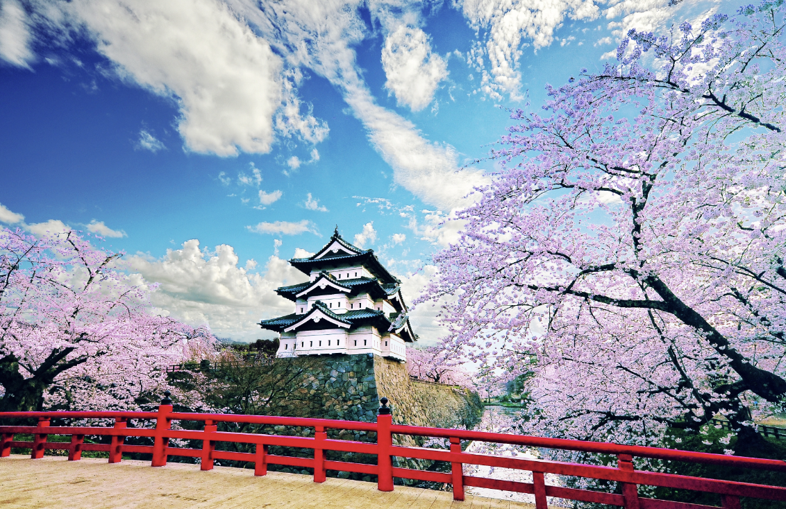 「青森弘前城公園」お花見