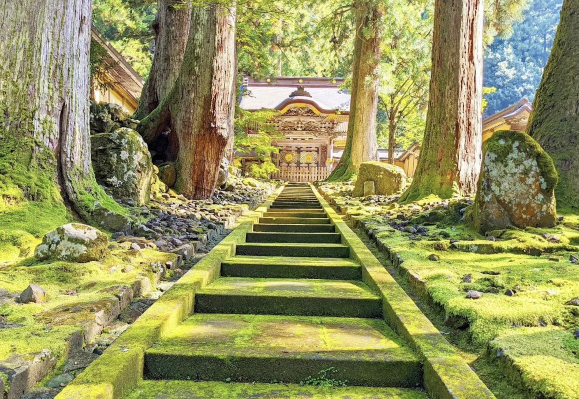 「福井大本山 永平寺」歴史