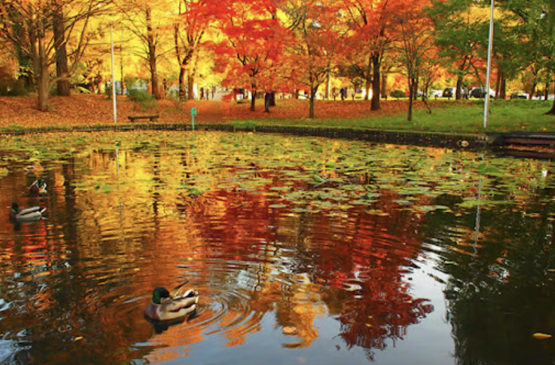 「北海道」北海道大学