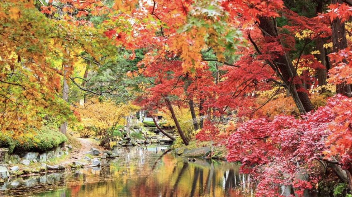 「盛岡城跡公園」紅葉