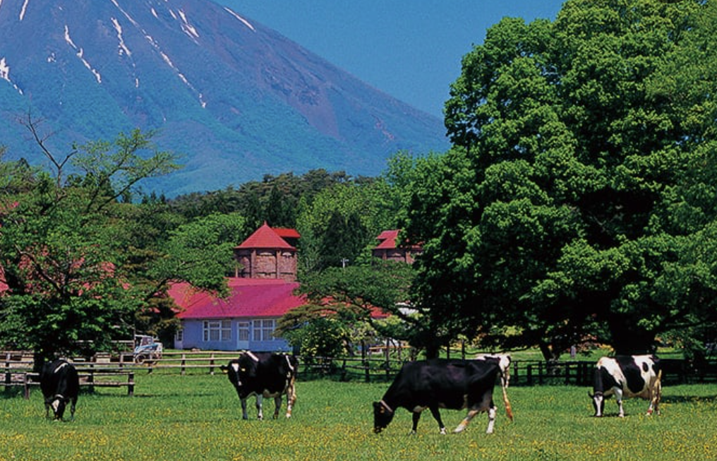 「岩手小岩井農場」農場体験