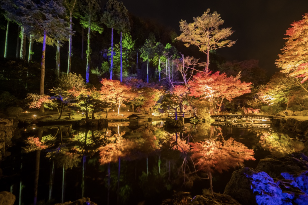 「宮城天守閣自然公園」ライトアップ