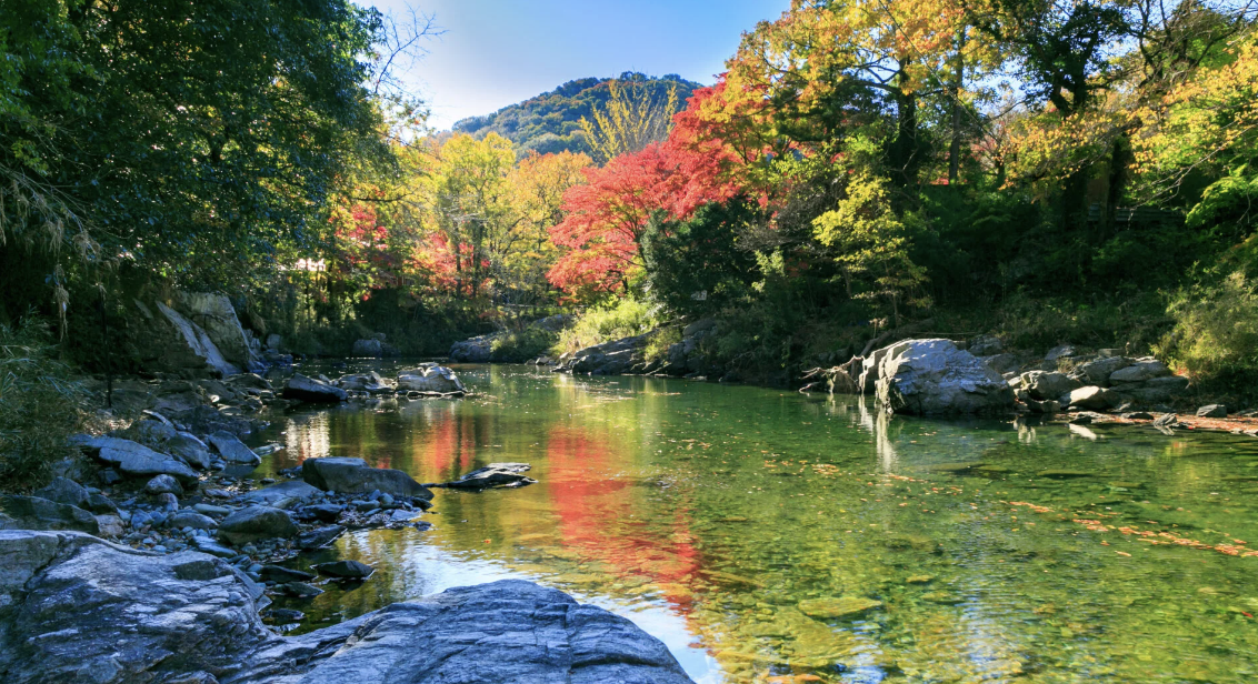 「埼玉嵐山渓谷」自然