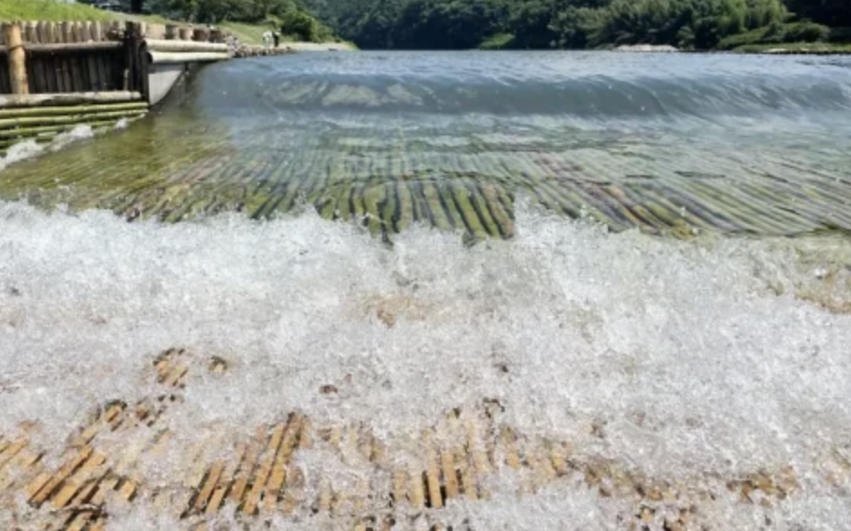 「栃木観光梁」魚釣り