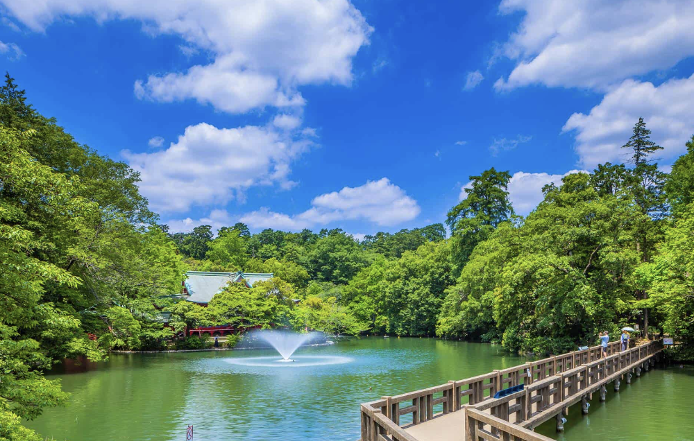 「吉祥寺井の頭公園」リフレッシュ